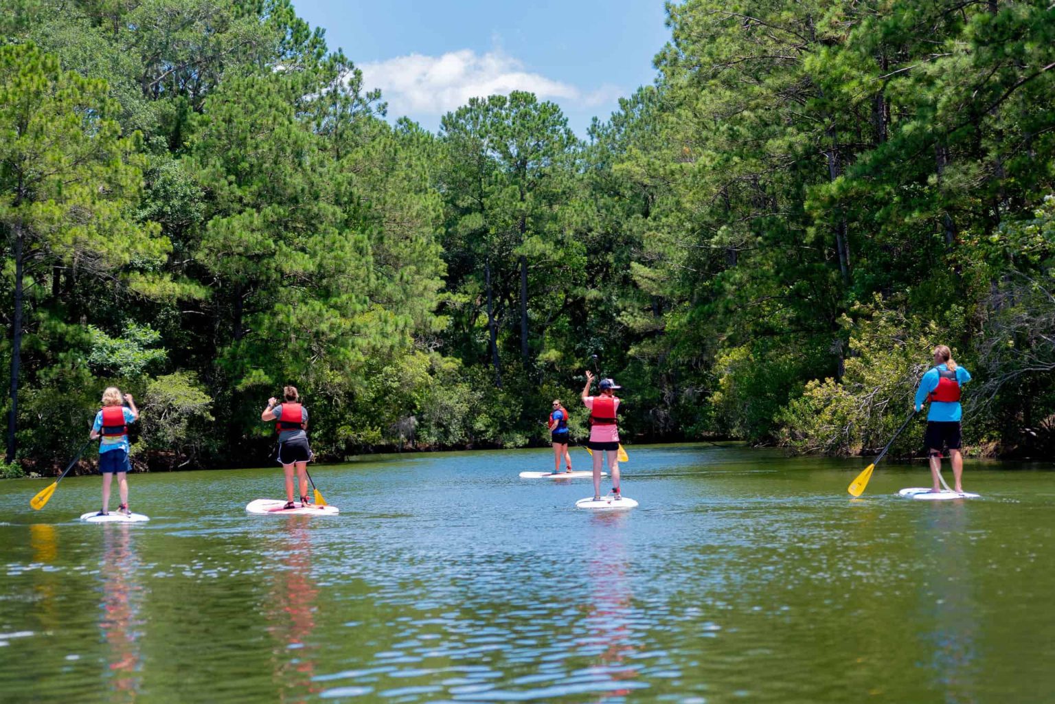 James Island Natasha Viswanathan, REALTOR®