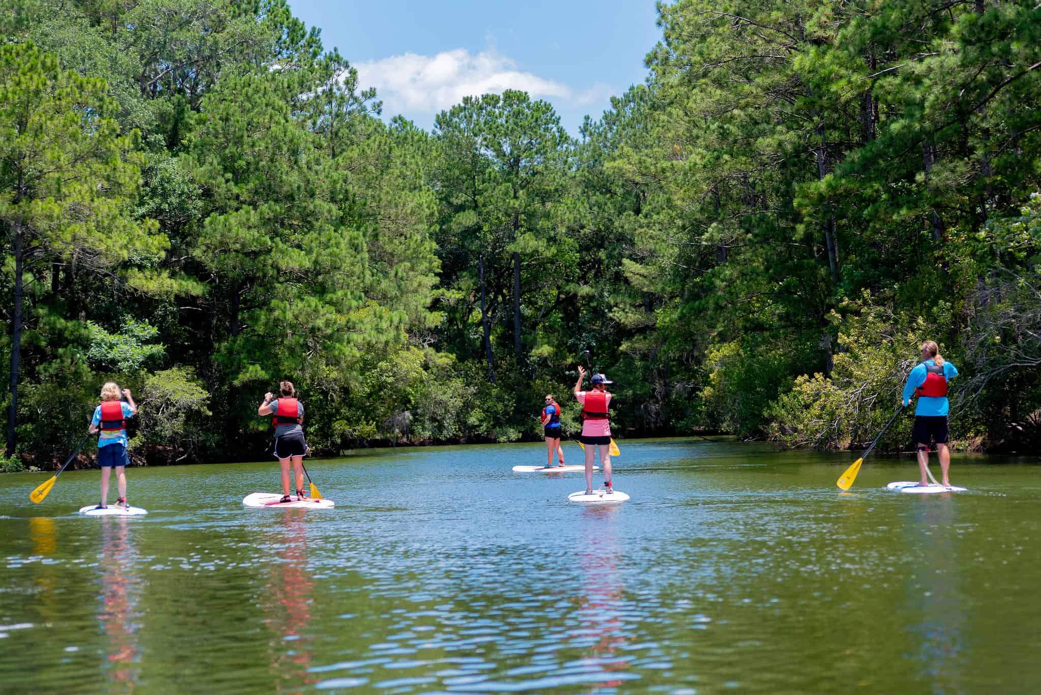 James Island Natasha Viswanathan, REALTOR®