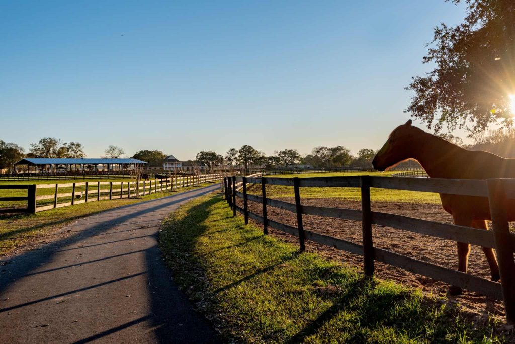 johns island South Carolina, homes for sale in johns island, realtors near me